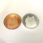 Dogecoin diventa la criptovaluta più ricercata in assoluto