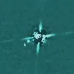 Un pianeta esterno al Sistema Solare giovanissimo