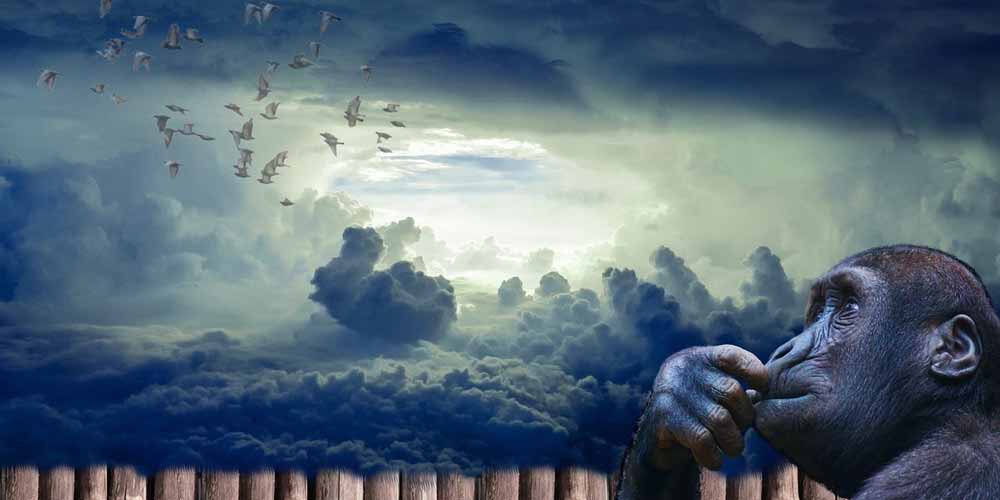 Europa è la culla della vita, non più l'Africa