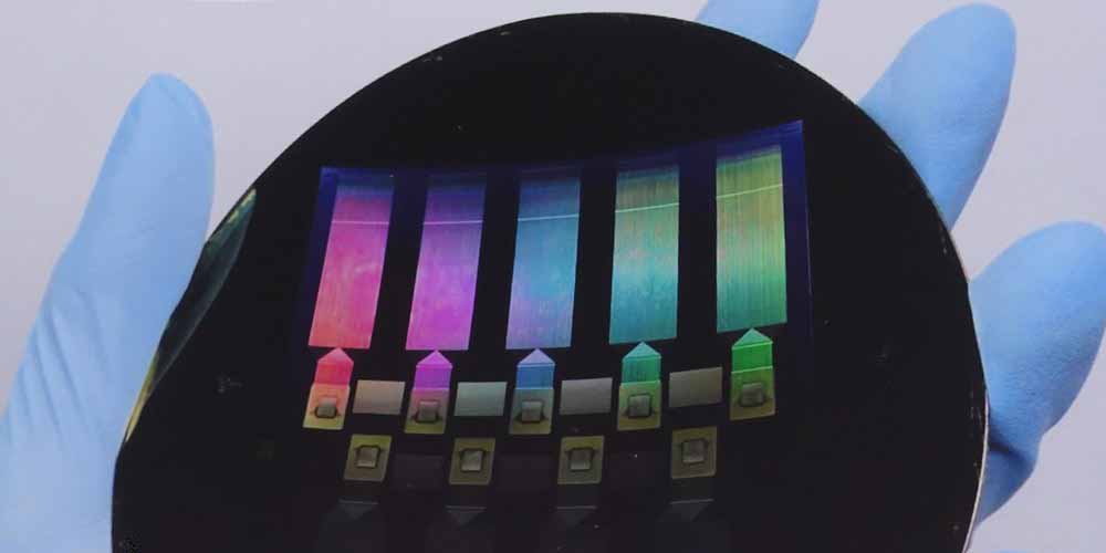 Neuralink: I primi risultati del chip impiantato sulle scimmie