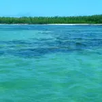 Mauritius, la petroliera incagliata si è spezzata