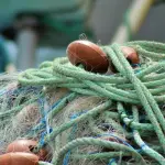 Cosa sono le reti fantasma?