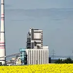 Cosa sono i biocarburanti?