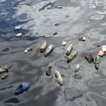 I nostri oceani annegano nella plastica