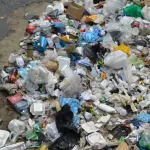 Roma dovrà essere liberata dai rifiuti in una settimana