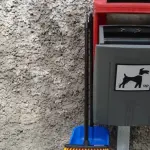 Dobby bag, richiederla per evitare lo spreco di cibo