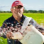 Rotazione delle colture, modo intelligente per salvaguardare la fertilità della terra