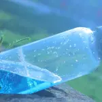 Microplastiche nelle feci umane, allarme inquinamento