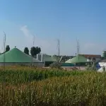 Biogas da Avocado, il futuro delle emissioni zero