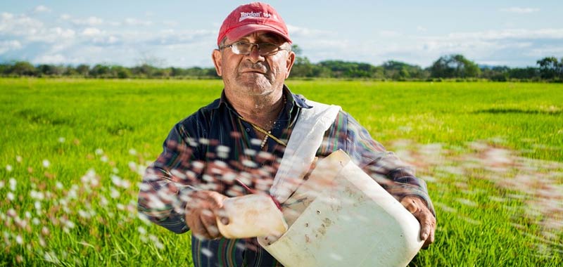 Rotazione delle colture modo intelligente per salvaguardare la fertilita della terra