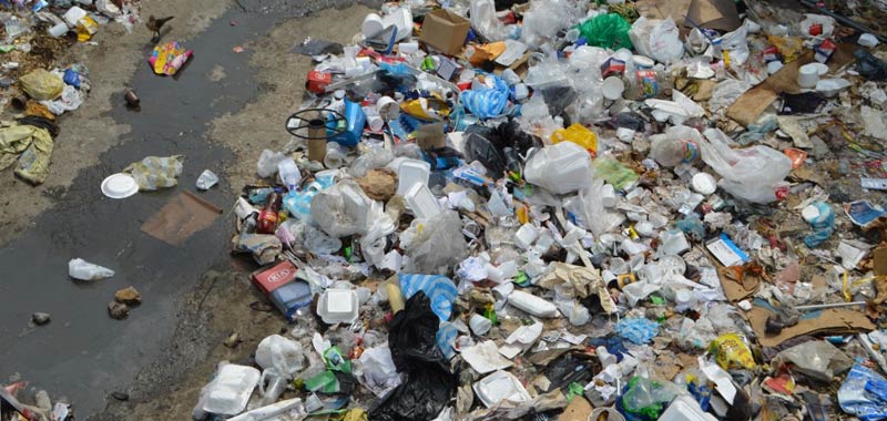 Roma dovra essere liberata dai rifiuti in una settimana