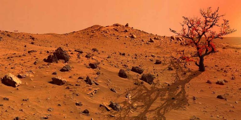 I microbi terrestri sopravvivono su Marte