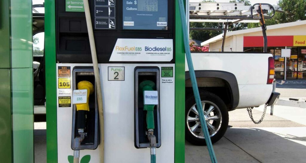 Carburante alternativo saranno i biocarburanti