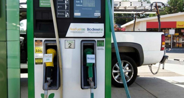 Carburante alternativo, saranno i biocarburanti