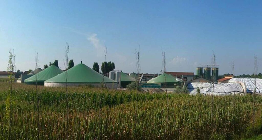 Biogas da Avocado il futuro delle emissioni zero